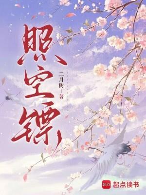 月光疤叁侗岸TXT百度网盘