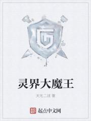 综网：从武者开始叠被动