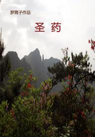 大秦:无双皇子,打造海上日不落