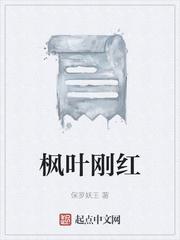 阴阳公交车