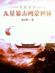 疾风之磁遁传说