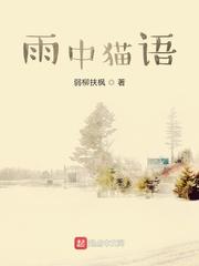 顾屿森温晚澄