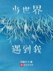 追夫计