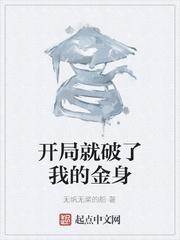 圣骑士天风传